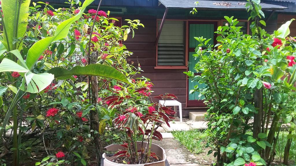 Secret Cabins At Firefly Beach Cottage Negril Room photo